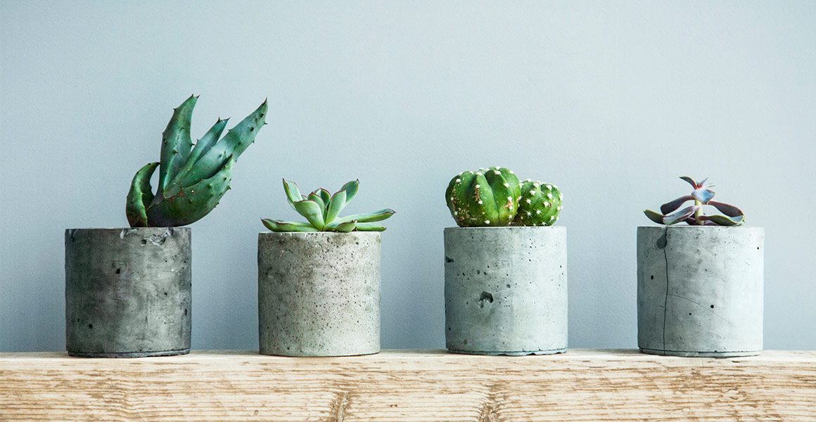 2 Flower Pot Designs