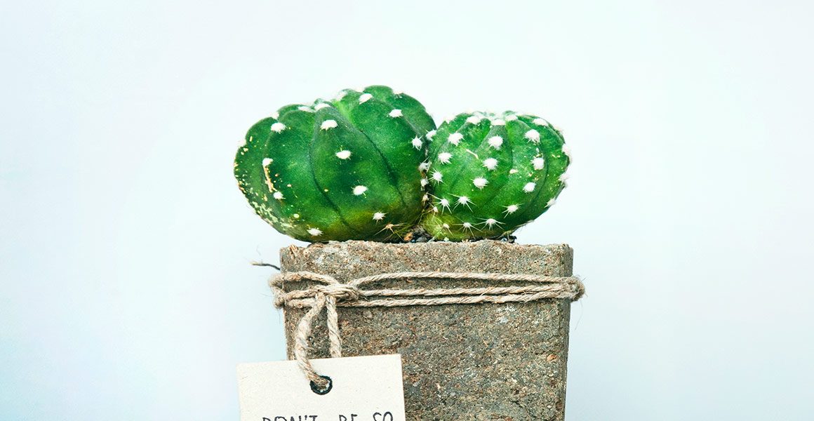 8 Home Decor
